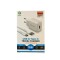Megatech CC-03 (MT-Ct34 )3.4A Type-C Usb Kablo+ Ev Şarj Adaptör Hızlı Şarj