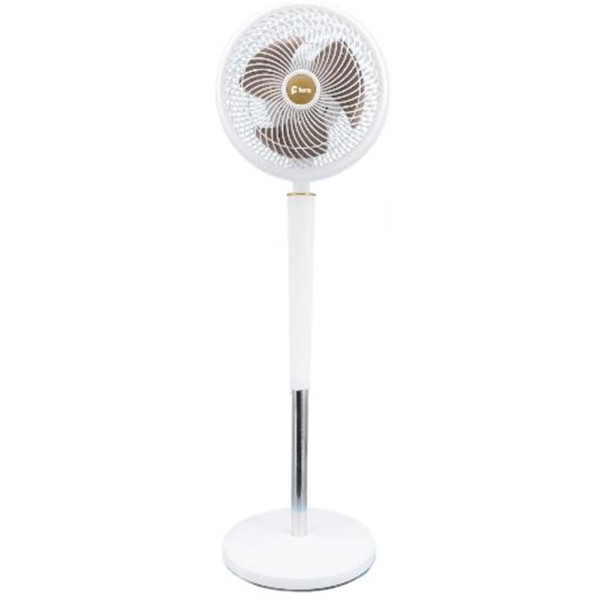 Feny FN-F15 Ev Tipi Yüksek Hızlı Çift Motorlu 2000RPM Ayaklı 70W 9